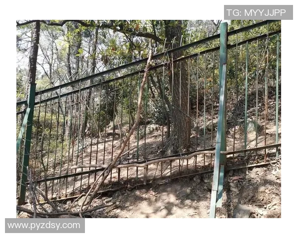 攀岩之路：黄军的深度对话与人生探索之旅