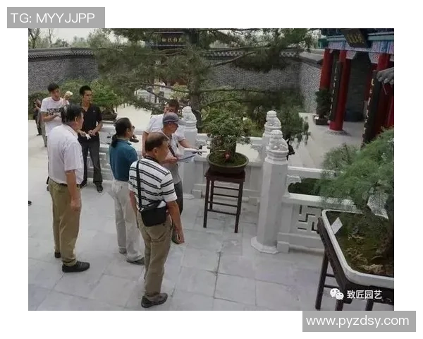 武汉羽毛球队在世界锦标赛中的转型与崛起之路探秘